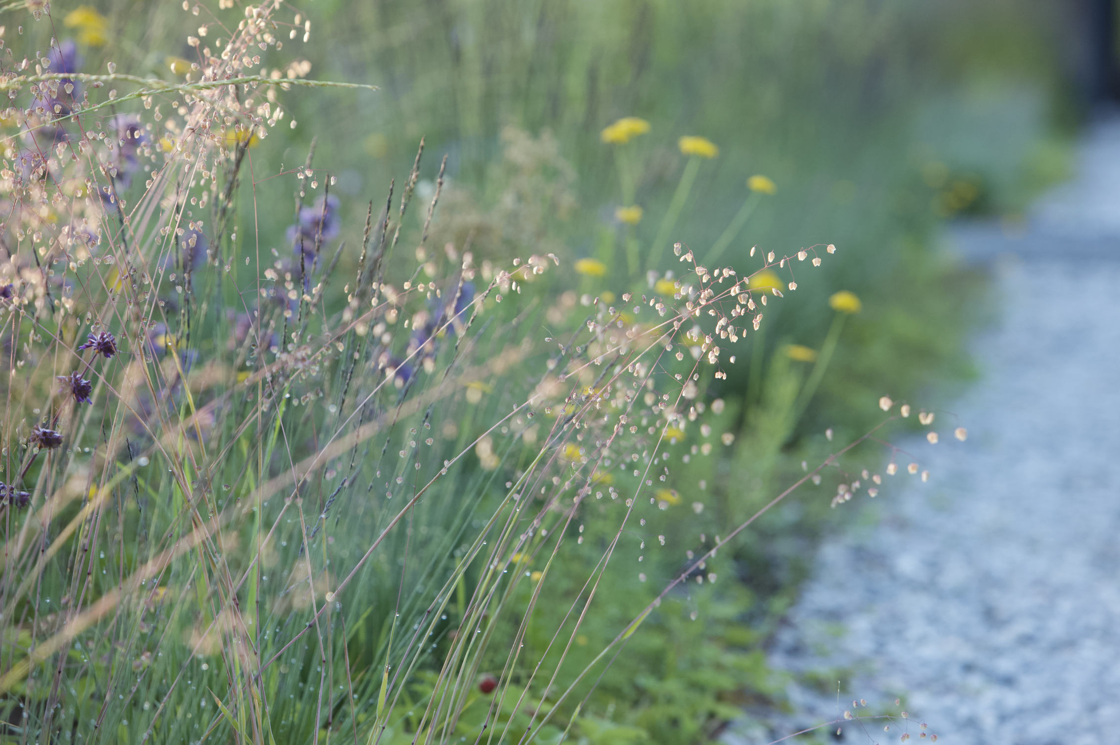 Bay of Finland Garden
