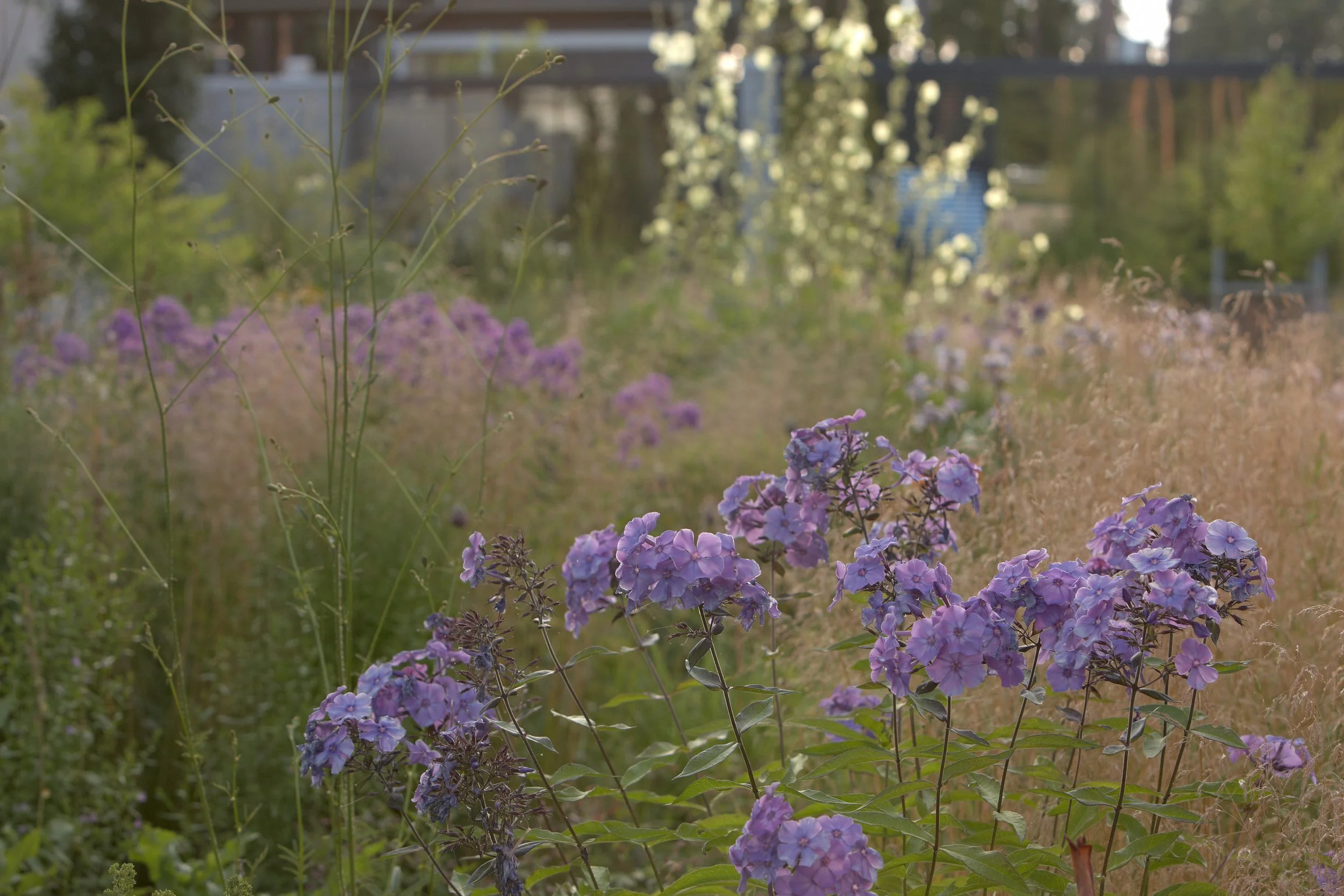 Bay of Finland Garden