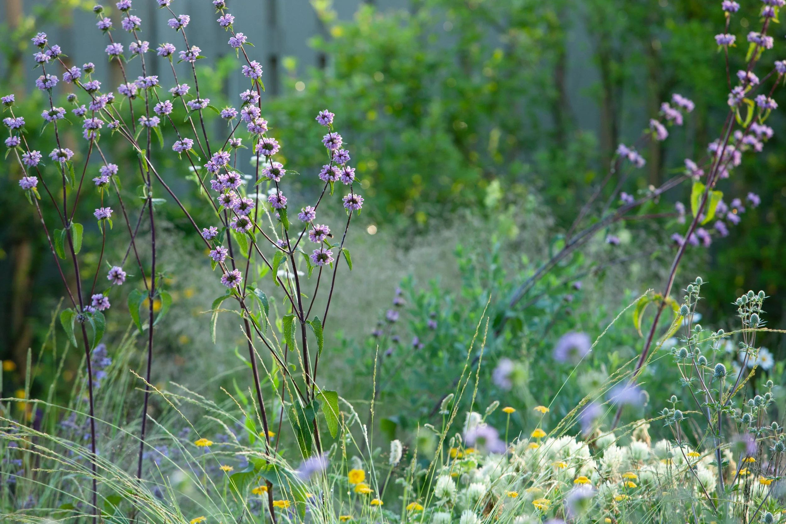 Bay of Finland Garden