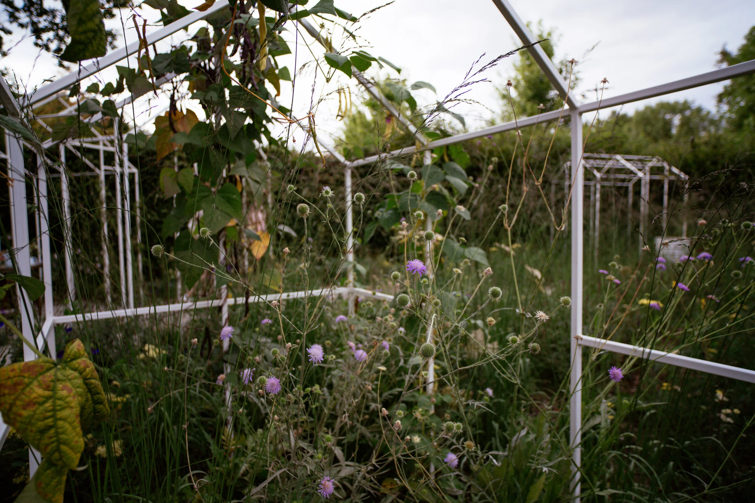 Chaumont sur Loire Festival