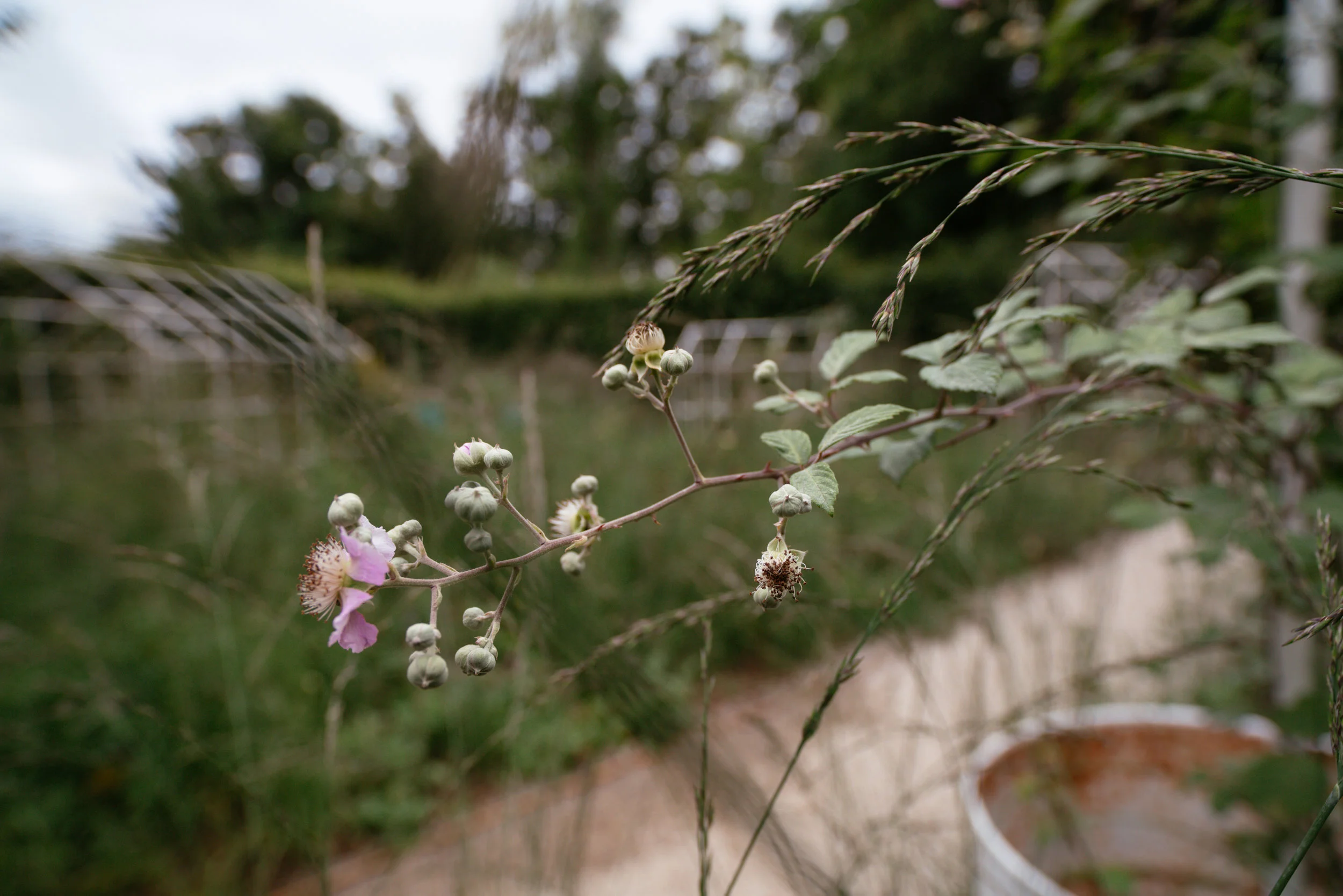 Chaumont sur Loire Festival