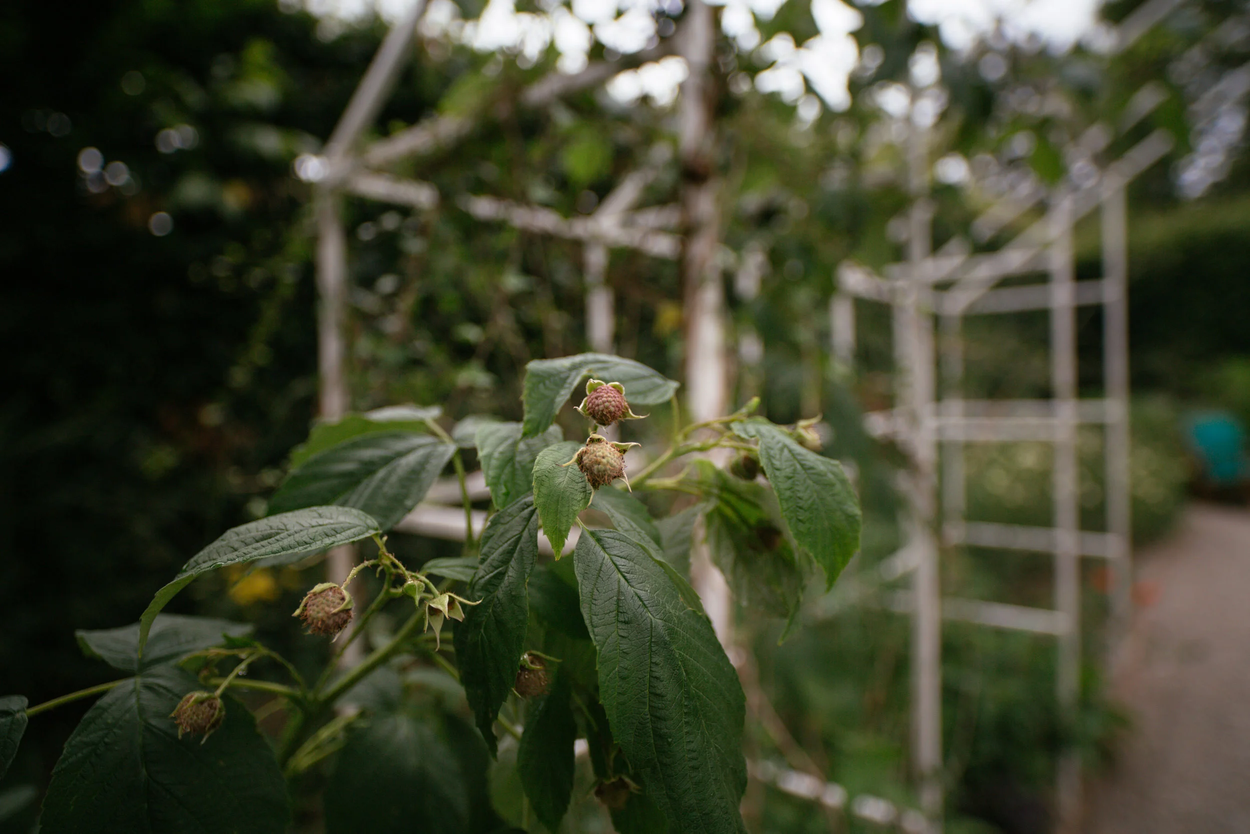 Chaumont sur Loire Festival