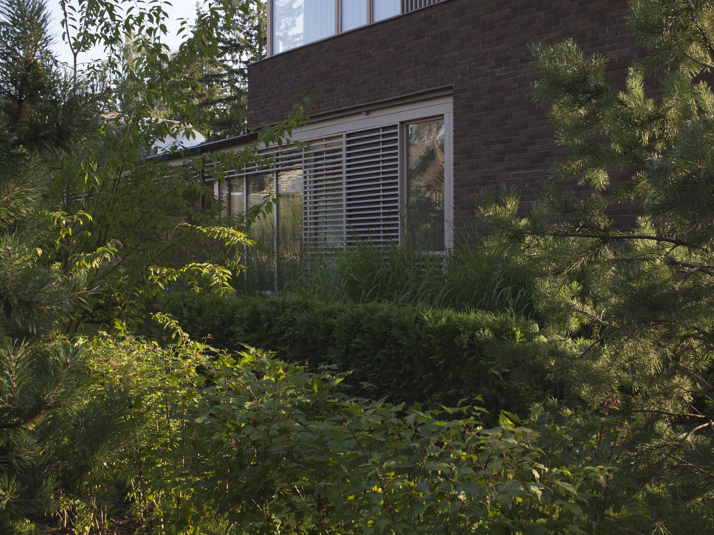 Club 2071 Woodland Garden