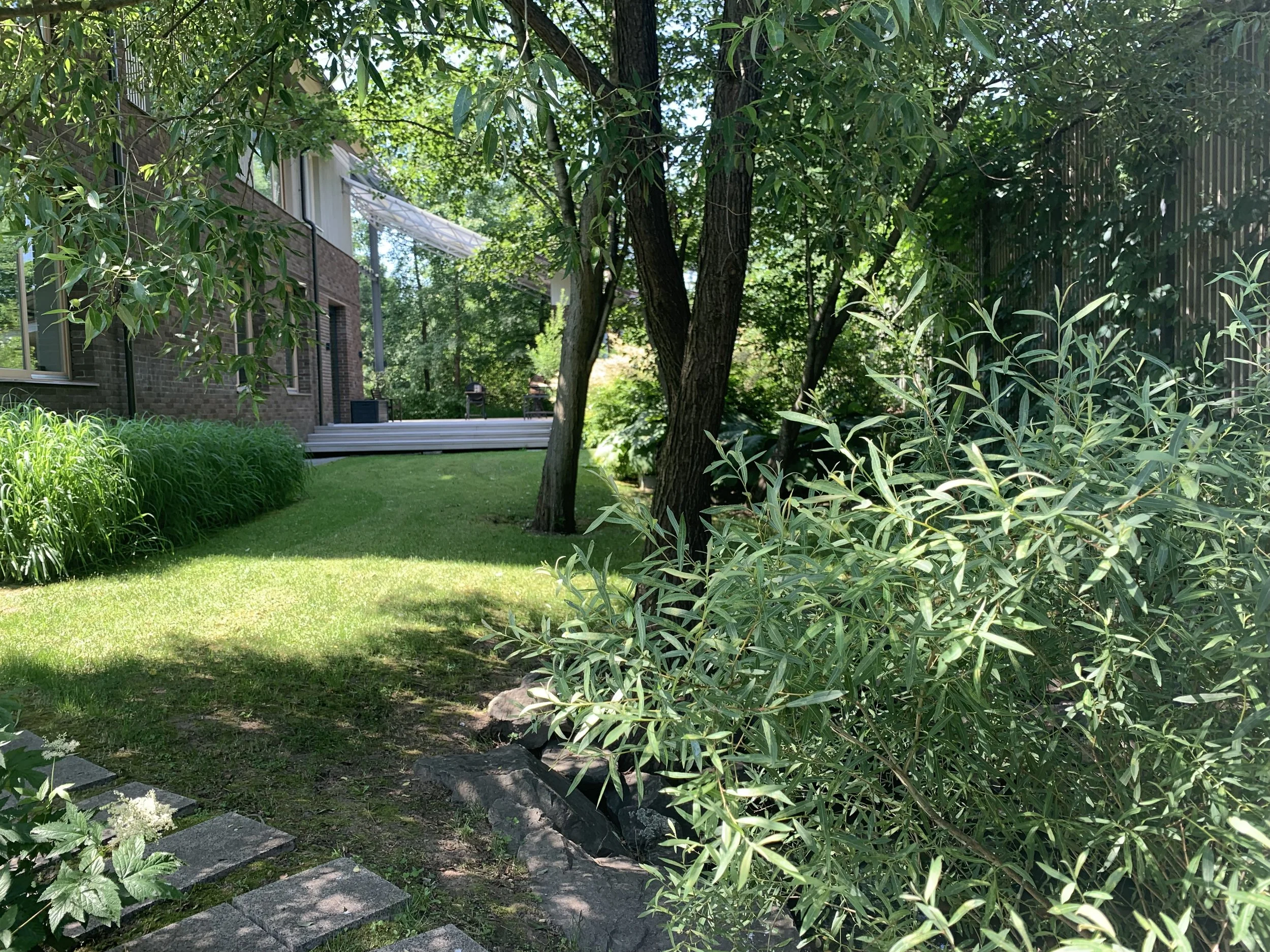 Club 2071 Woodland Garden