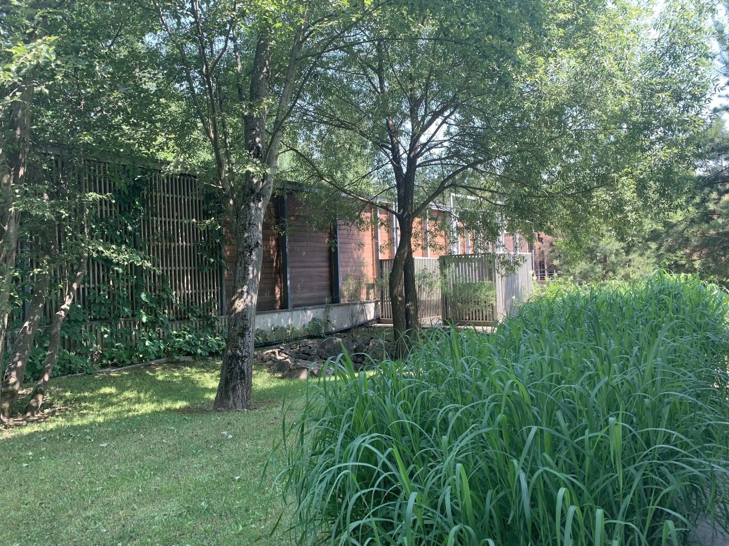 Club 2071 Woodland Garden