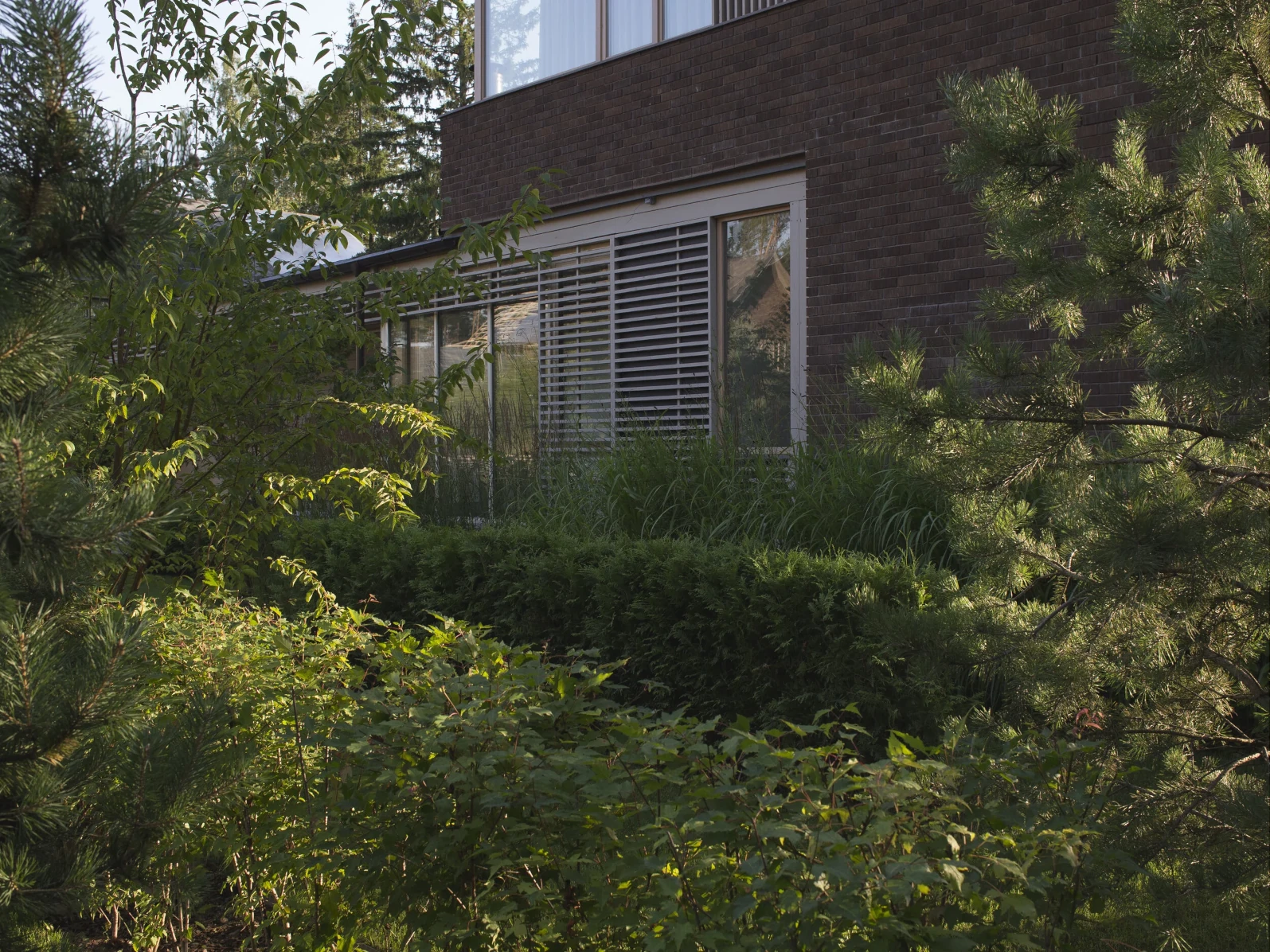 Club 2071 Woodland Garden