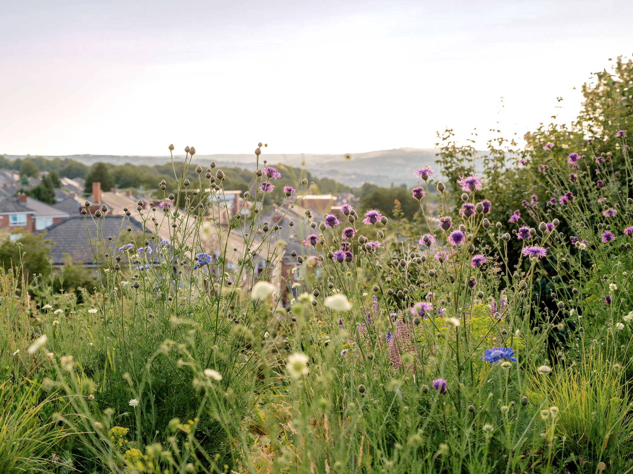Bay of Finland Garden