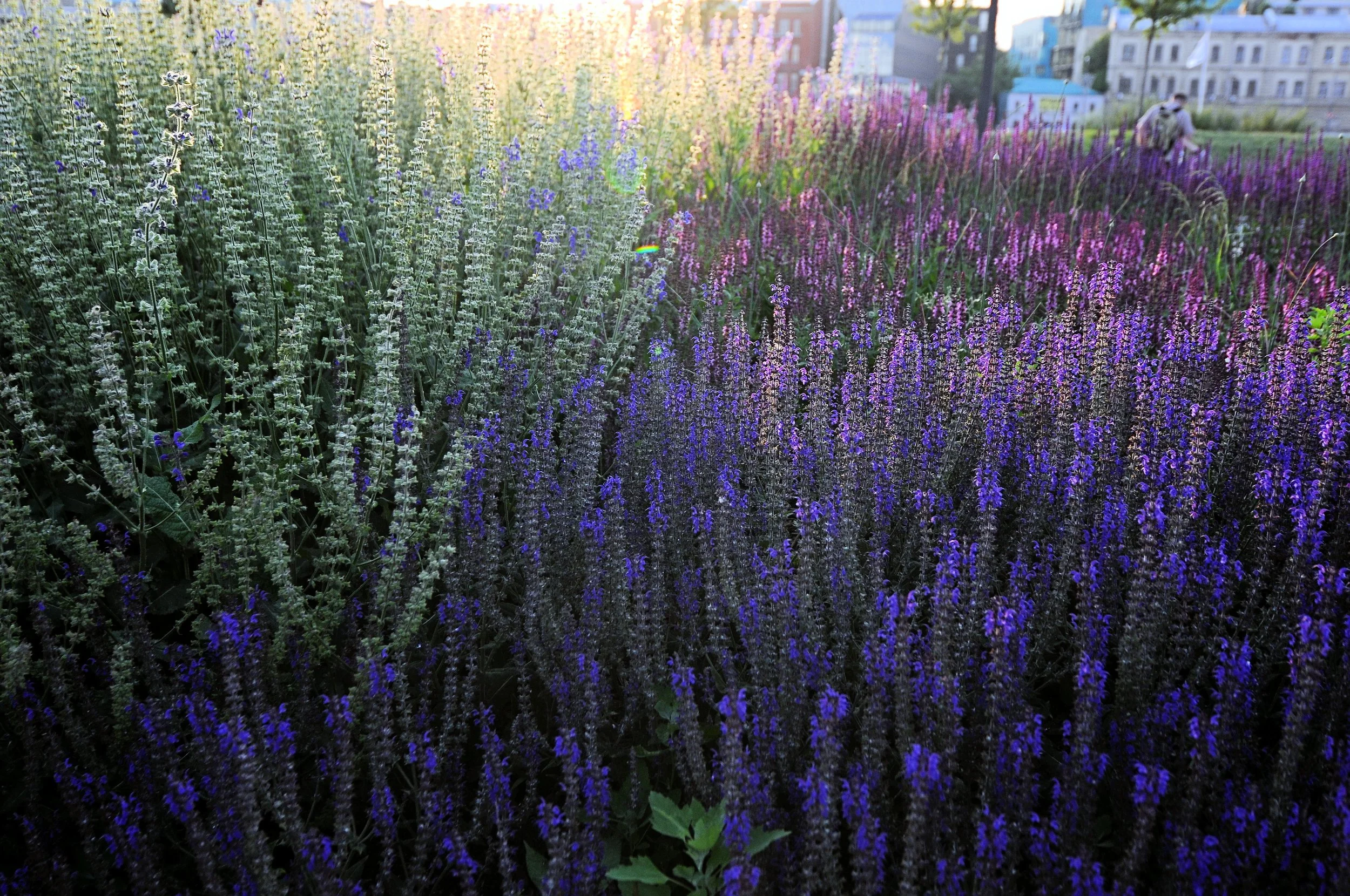 Krymskaya Embankment