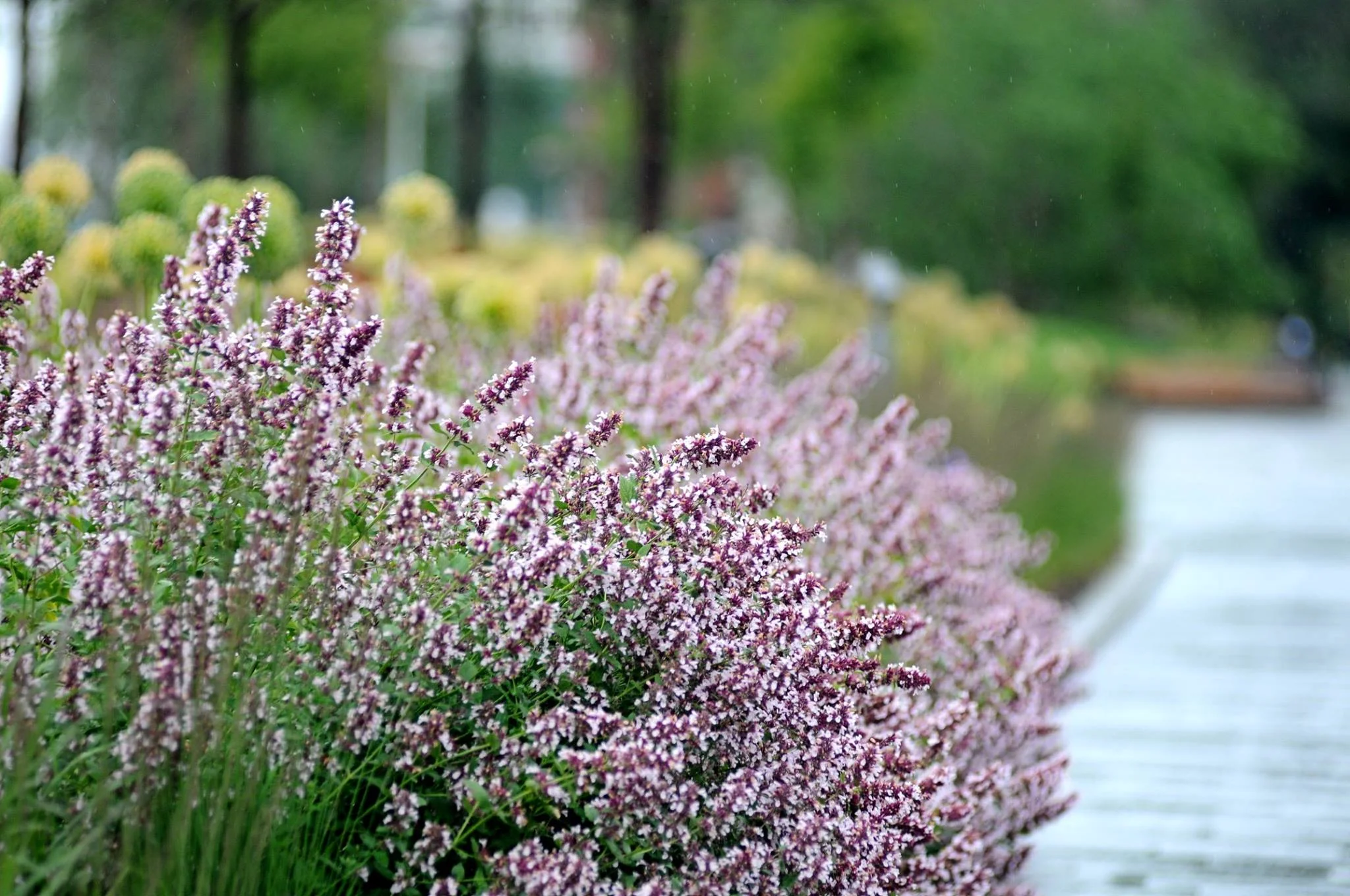 Krymskaya Embankment