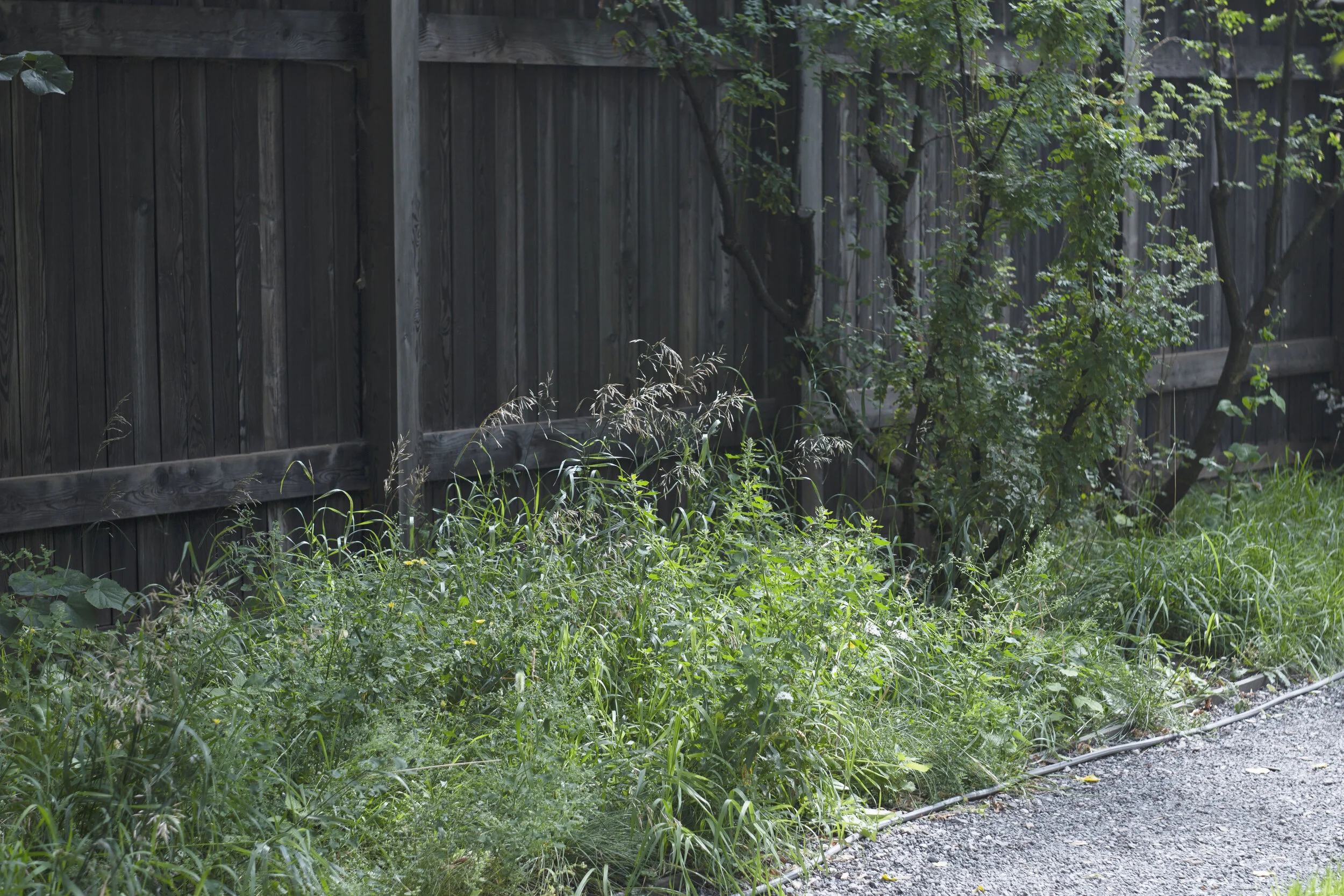 Melnikovs' House Garden