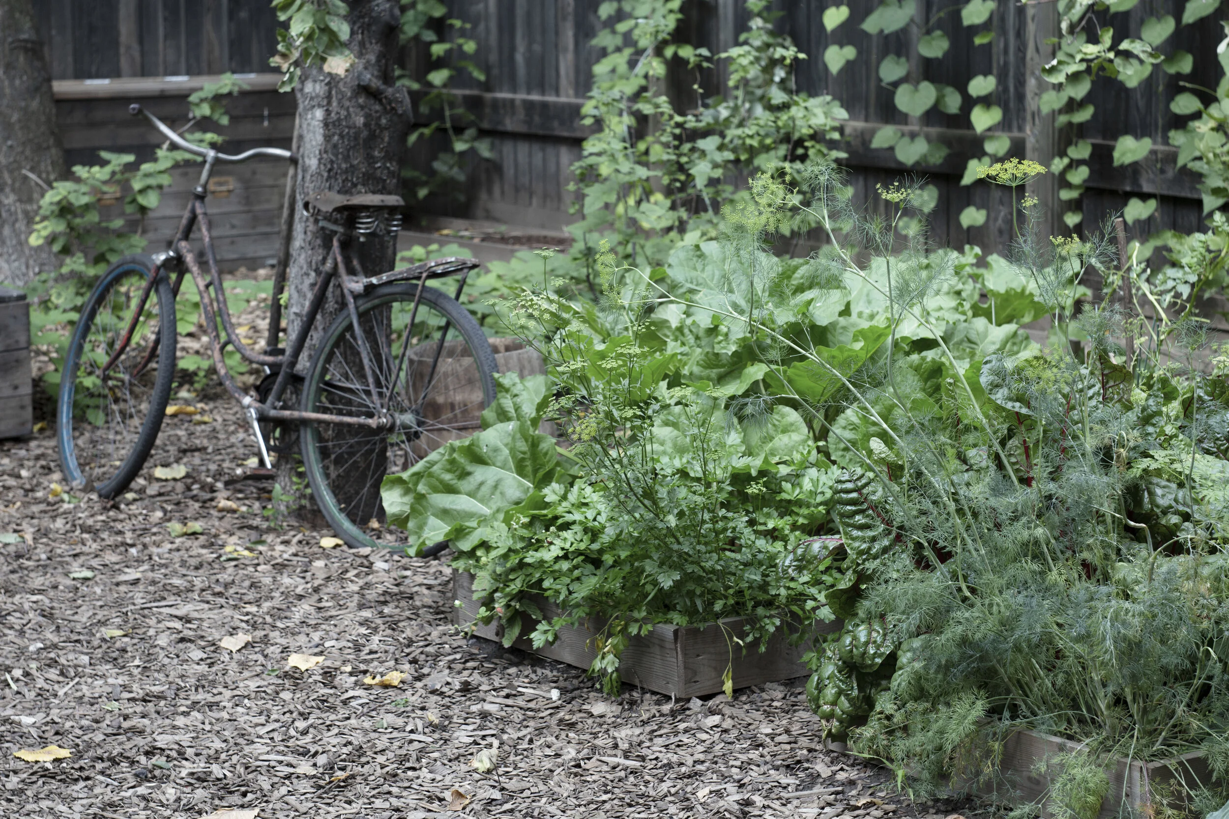 Melnikovs' House Garden