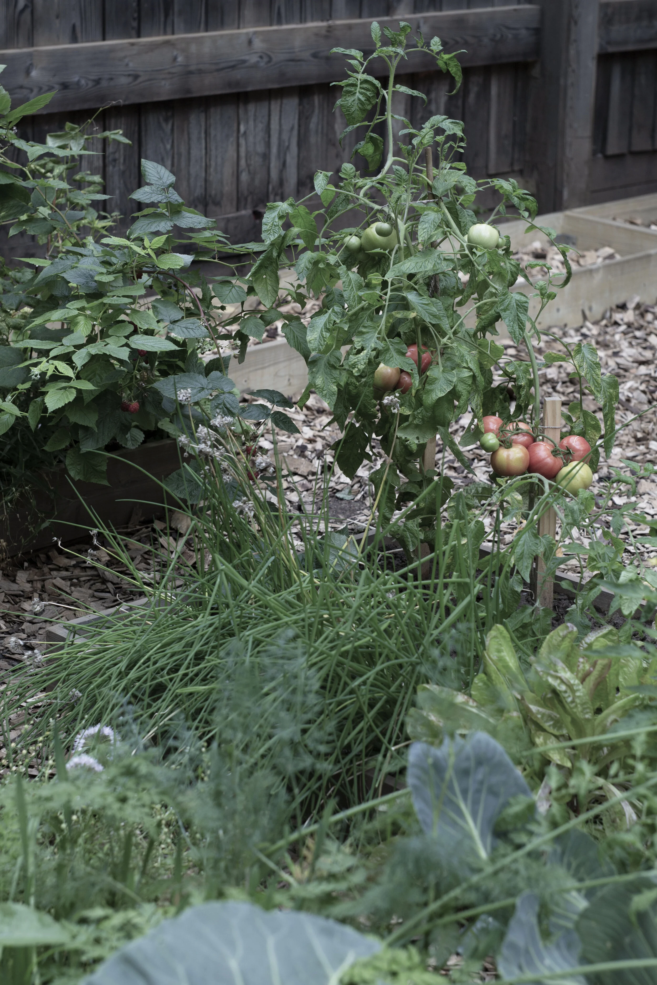 Melnikovs' House Garden