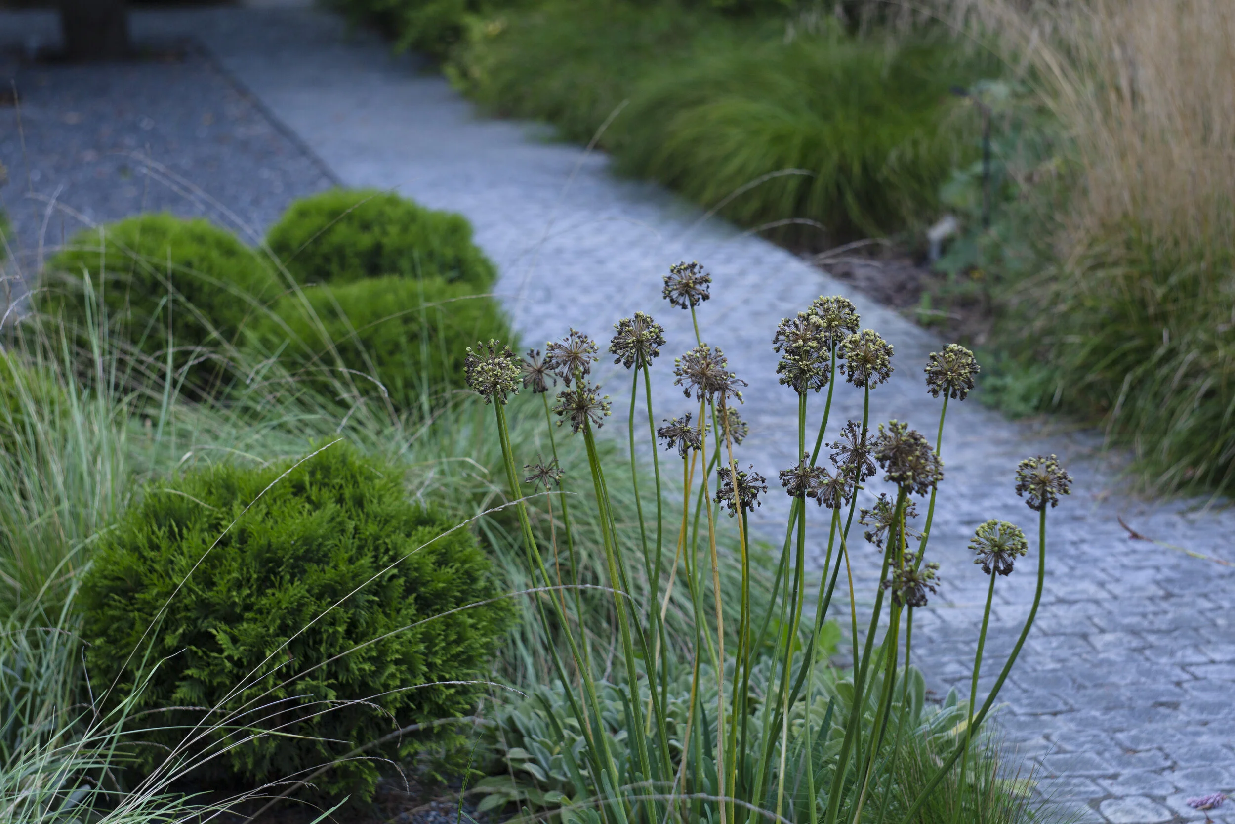 Bay of Finland Garden