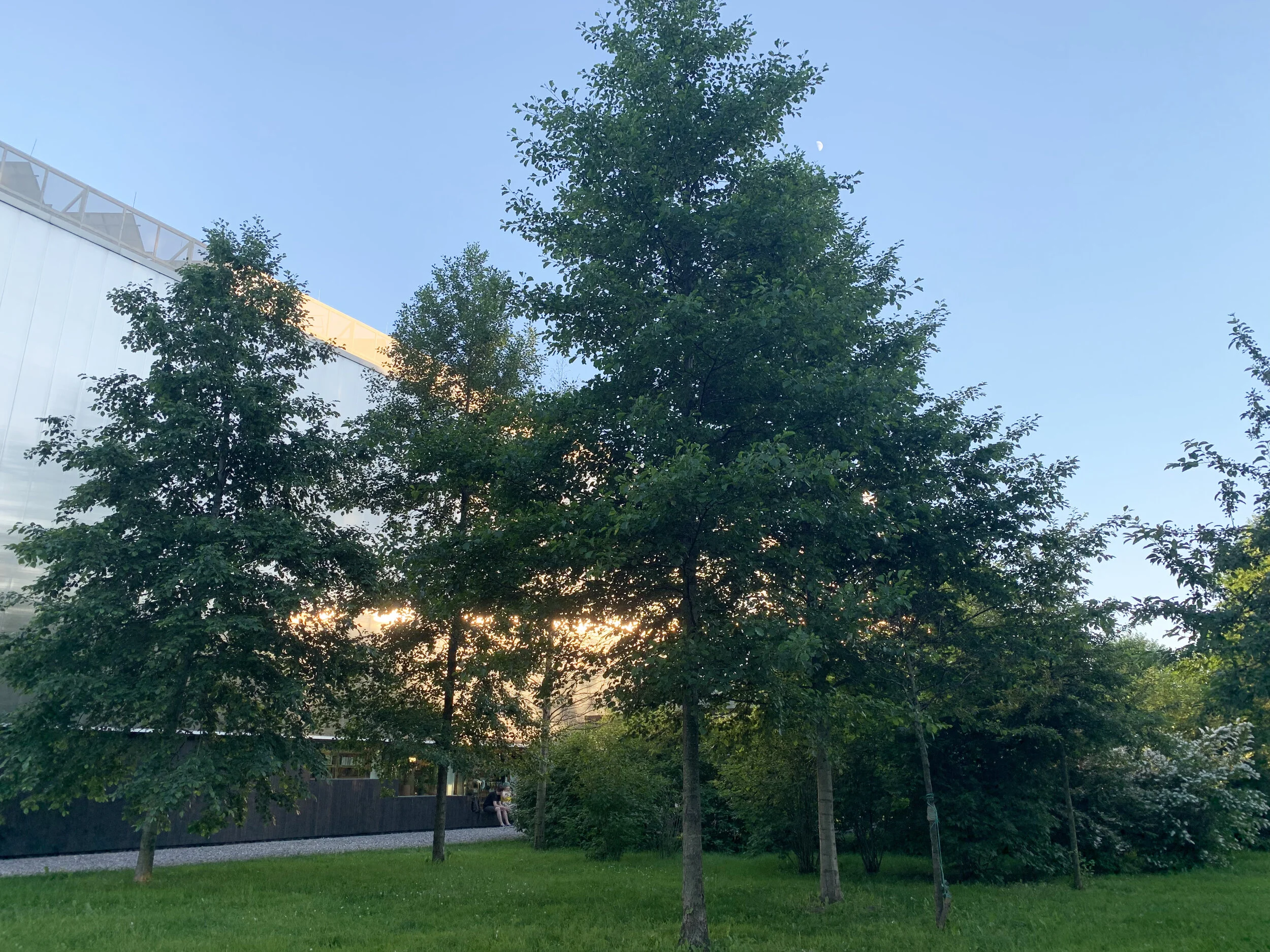 The Garage Museum Forest