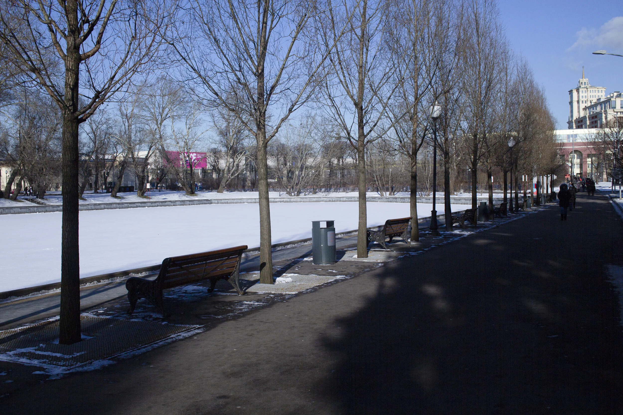 The Garage Museum Forest