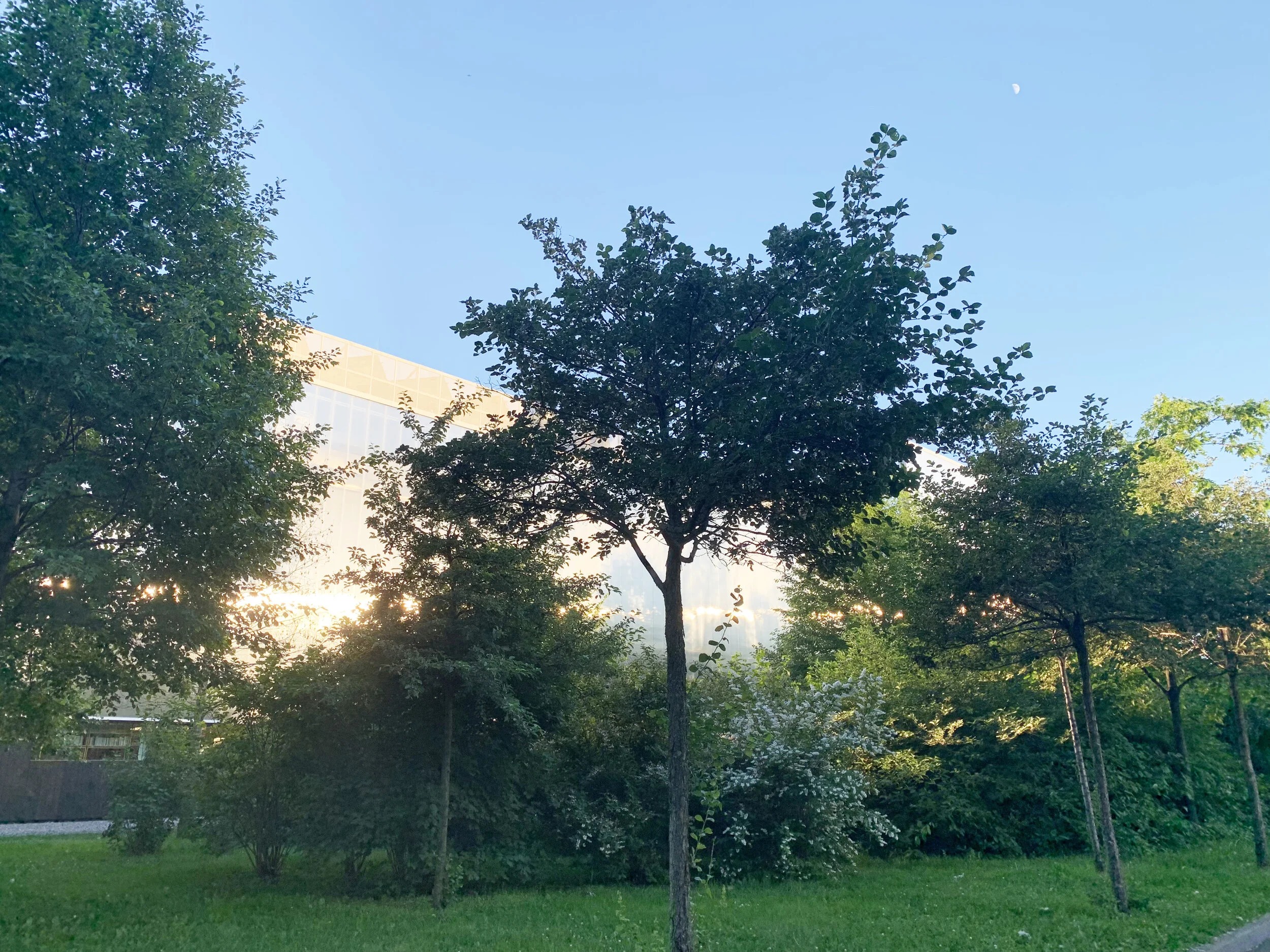 The Garage Museum Forest