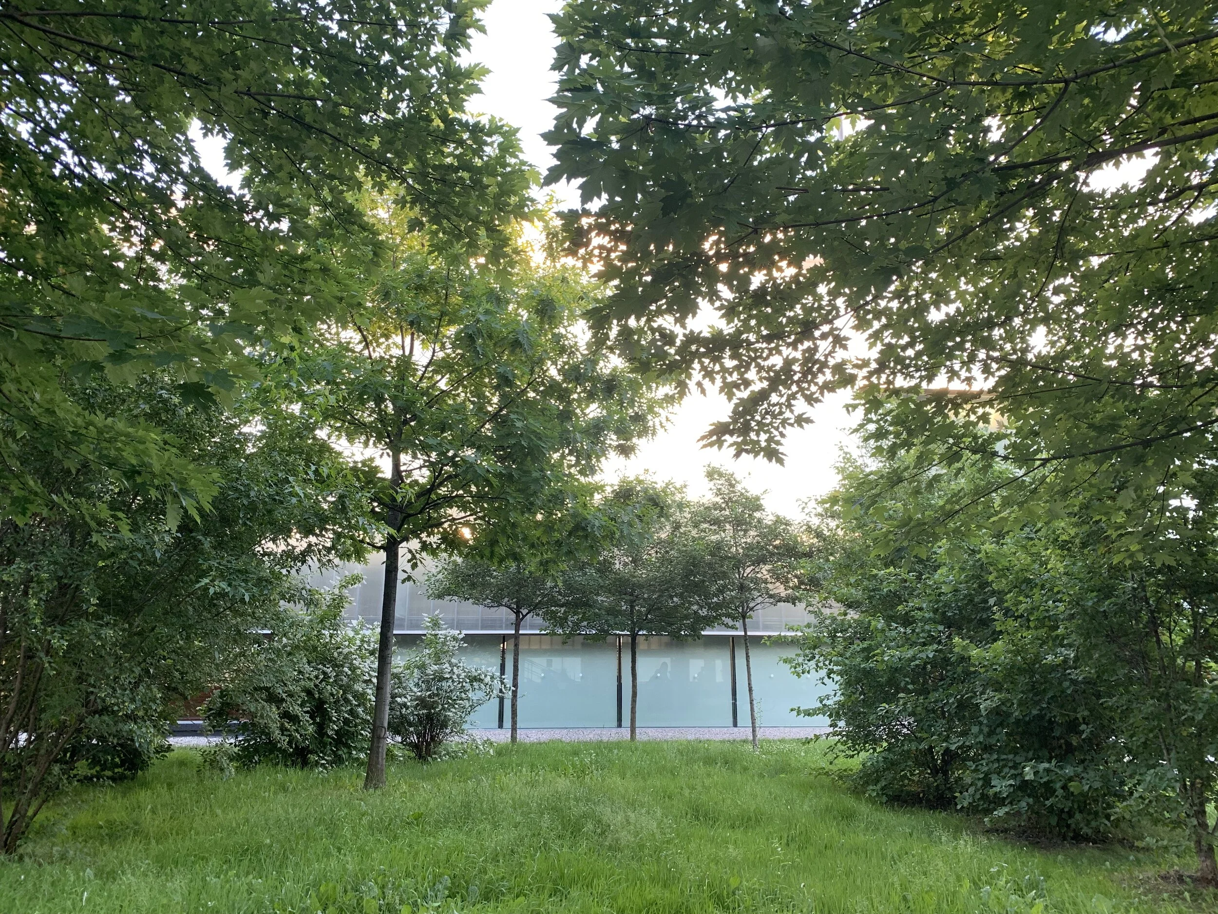 The Garage Museum Forest