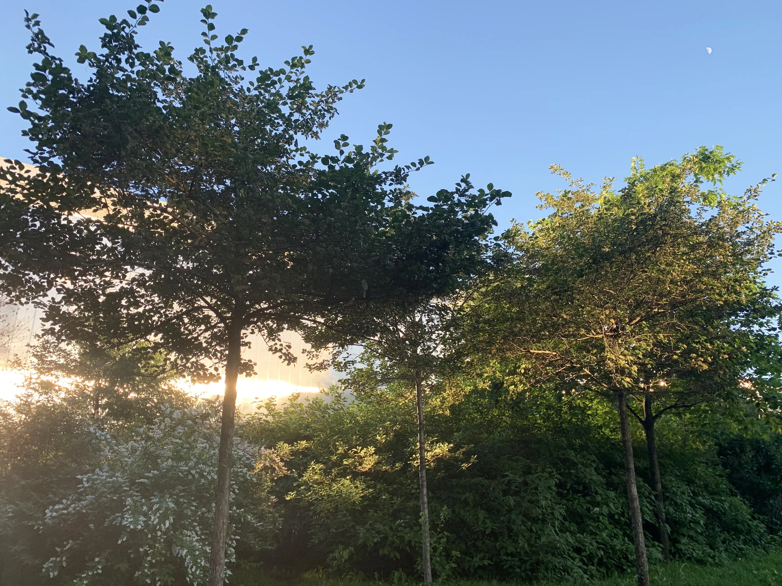 The Garage Museum Forest