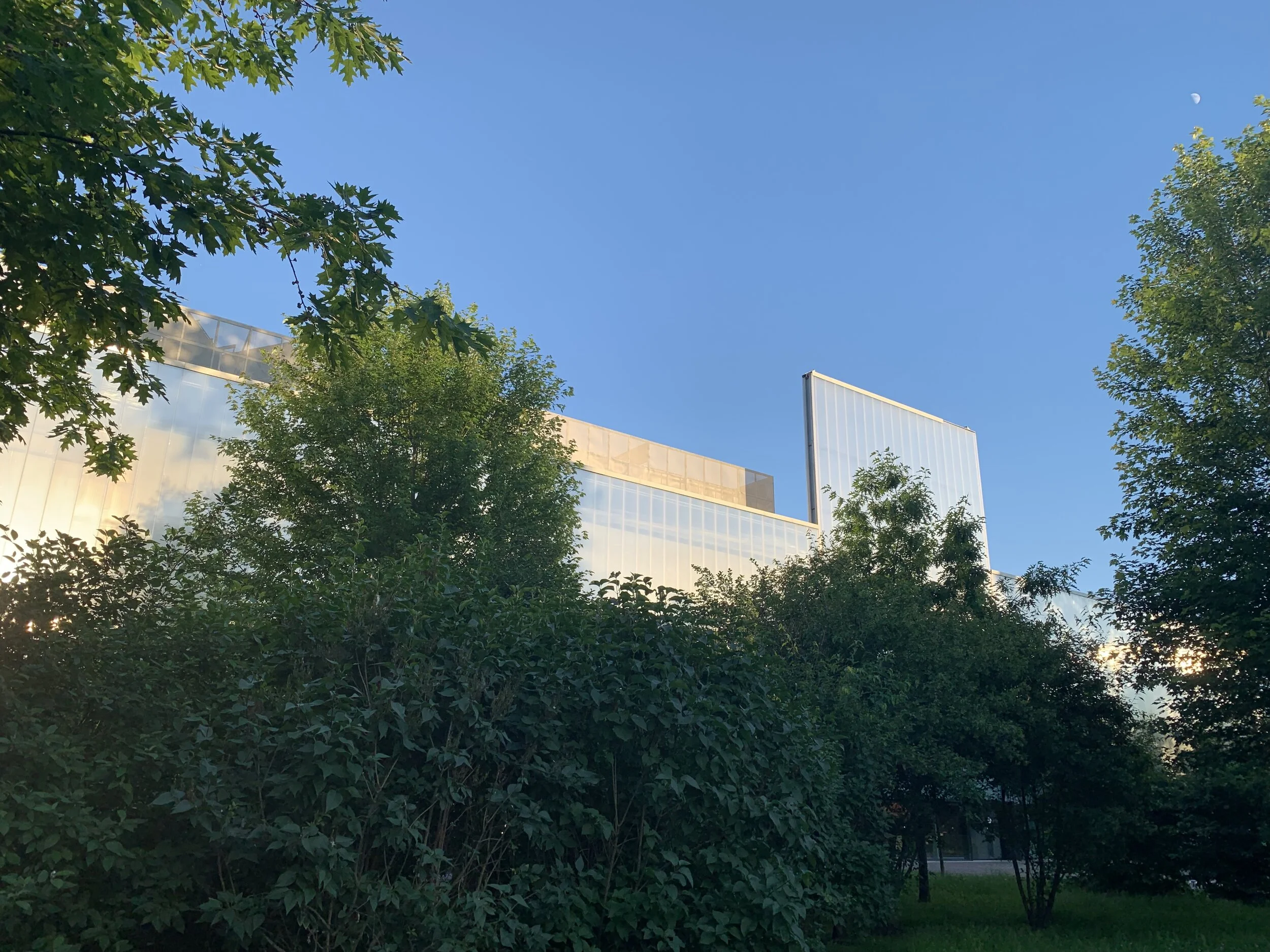 The Garage Museum Forest