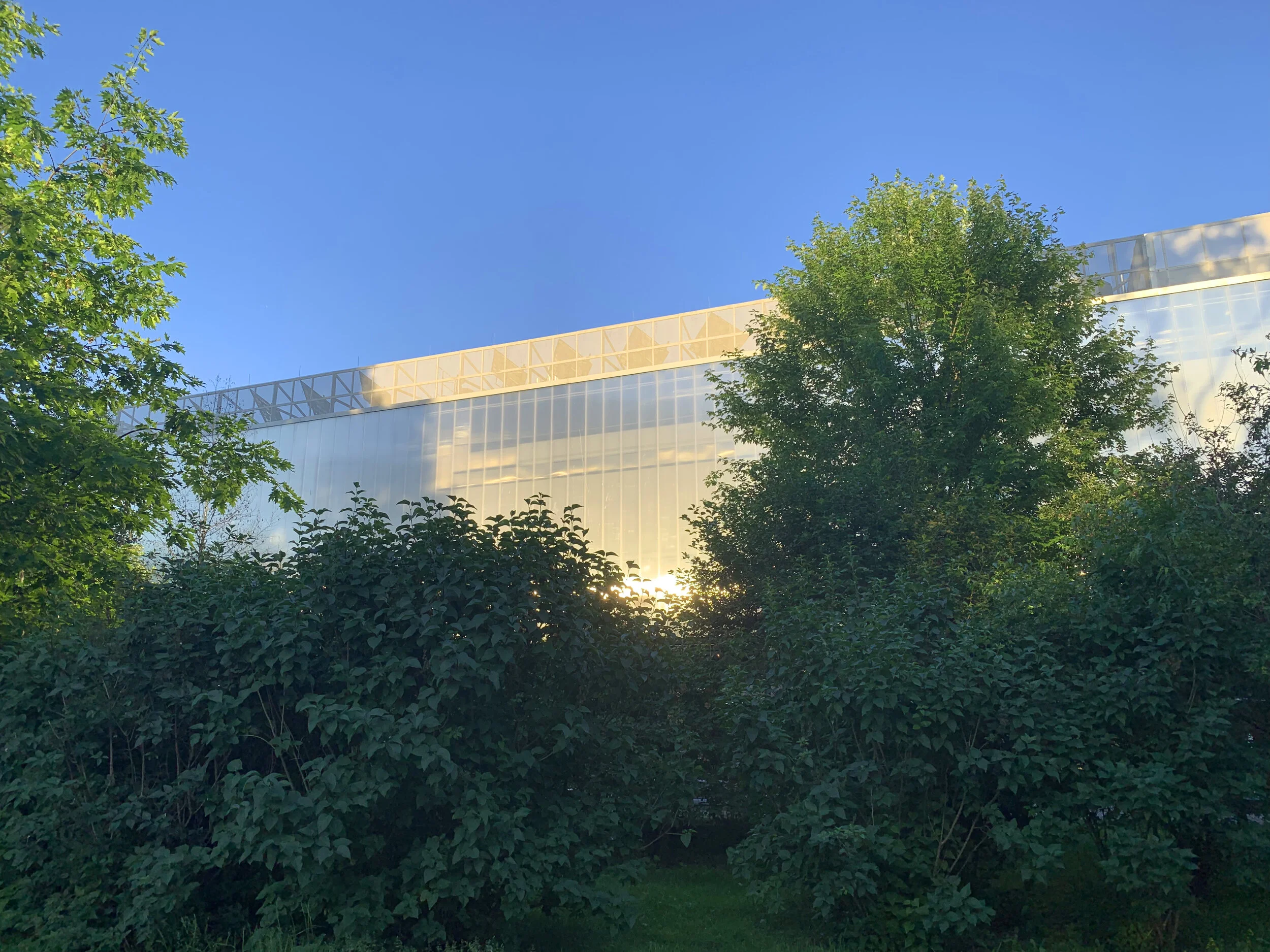 The Garage Museum Forest