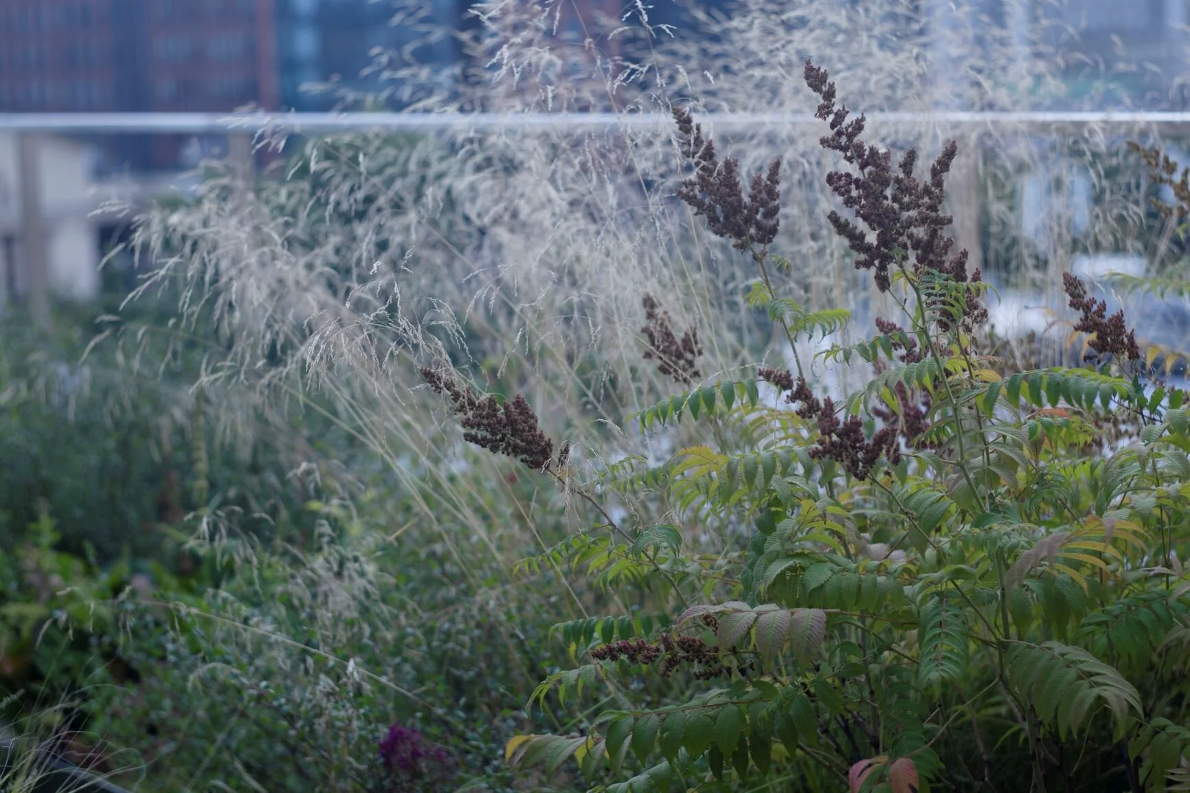 Krymskaya Embankment