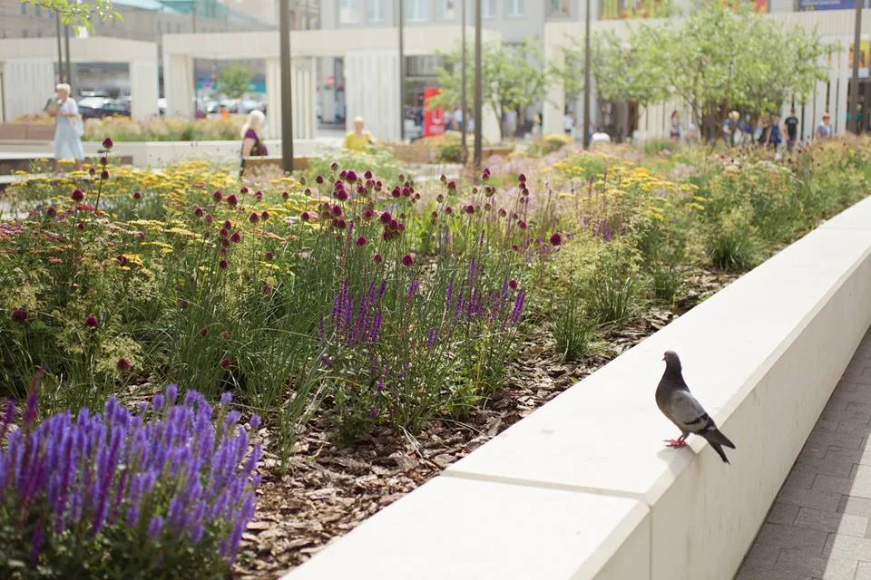 Triumphalnaya Square