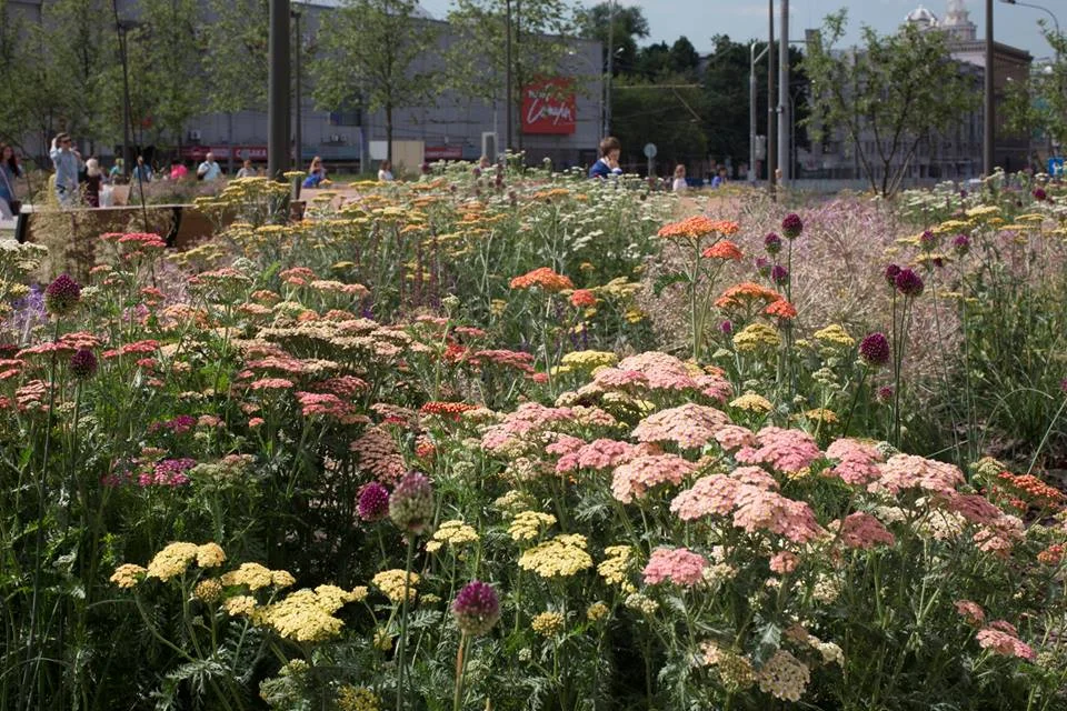 Triumphalnaya Square